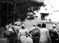 Die Nacht der Schande - Novemberpogrome 1938