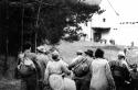 Die Nacht der Schande - Novemberpogrome 1938