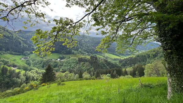 Bild 1 von 8: .