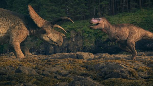 Bild 1 von 13: Die Knochenfunde zeigen, dass Rose auch Hungerzeiten durchlitt. In solchen Phasen musste sie ihren Speiseplan ausweiten. Doch gegen einen ausgewachsenen Arrhinoceratops hatte sie keine Chance.