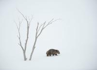 Sieben Kontinente - Ein Planet