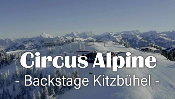 Bild 1 von 1: .