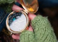 Der Wächter des Zauberwaldes