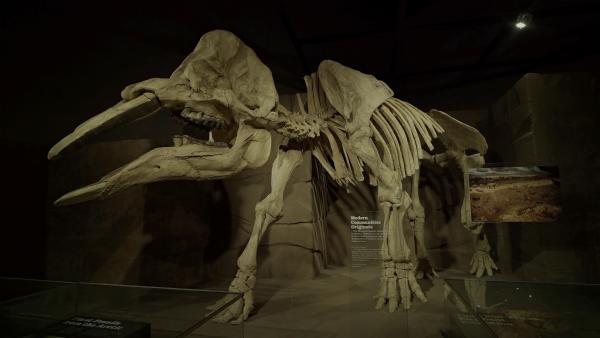 Bild 1 von 4: Große Verlierer: Beim letzten von fünf Massenaussterben verschwanden die Dinosaurier von der Erde.