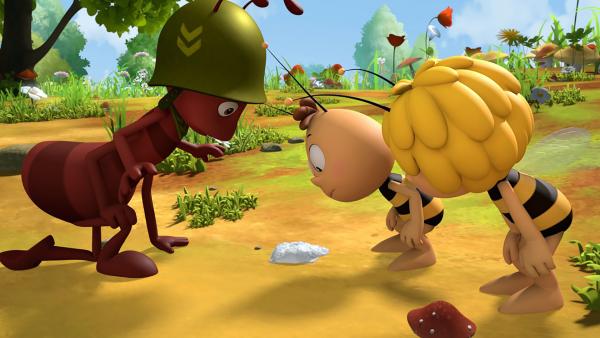 Bild 1 von 5: Willi und Maja bestaunen das Zuckerstück.