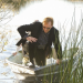 CSI: Miami