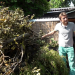 Von Hecke zu Hecke - Bunte Beetgeschichten