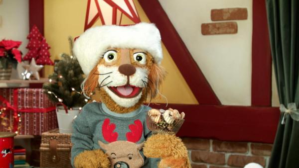 Bild 1 von 3: Im Bild: Kater Kurt.