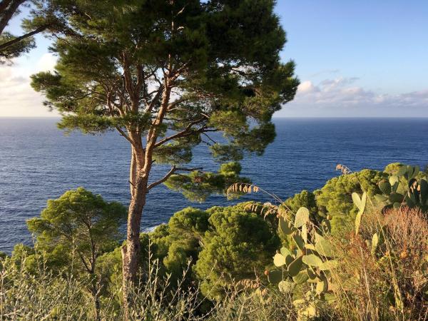Bild 1 von 16: Ein Habsburger auf Mallorca - Ludwig Salvator und der Zauber des Meeres