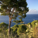 Ein Habsburger auf Mallorca - Ludwig Salvator und der Zauber des Meeres
