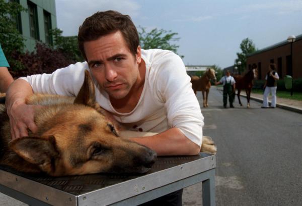 Bild 1 von 4: Im Bild: Marc Hoffmann (Alexander Pschill) bringt Rex ins Spital.