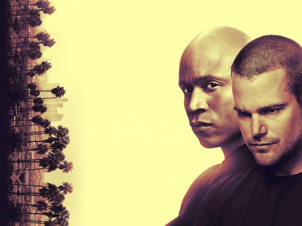 Bild 1 von 9: (10. Staffel) - NAVY CIS: L.A. - Artwork