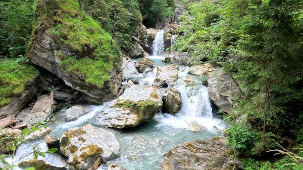 Bild 1 von 1: .
