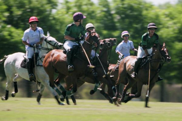 Bild 1 von 4: Polospiel in Argentinien.