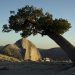 natur exclusiv