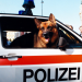 Bilder zur Sendung: Kommissar Rex