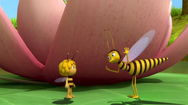 Bild 1 von 7: Maja erkennt, dass die Schwebfliege Mimi harmlos ist.