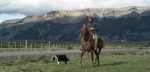 Bild 1 von 5: Im Bild: Ein Gaucho sucht nach Wildpferden in der Nähe von Calafate in Argentinien.