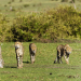 Abenteuer Wildnis