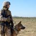 Sergeant Rex: Nicht ohne meinen Hund
