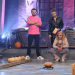Bild 13