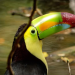 Wildes Mexiko