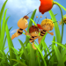 Bild 7