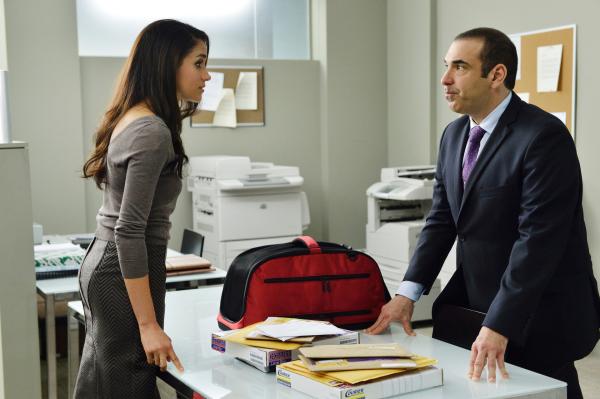 Bild 1 von 2: Louis (Rick Hoffman) kämpft mit ungewöhnlich emotionalen Mitteln um das Sorgerecht für Katze Mikado. Rachel (Meghan Markle) gerät dabei zwischen die Fronten - und bringt ihre eigenen Argumente ins Spiel.