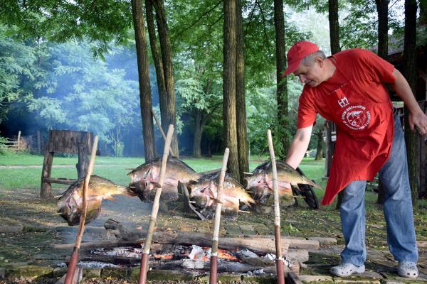 Bild 1 von 5: Die Flüsse Drau und Donau sorgen dort für eine große Artenvielfalt, von der auch die Anwohner profitieren. Hier bereitet Andjelko Lackovic Karpfen auf Holzstäben zu.