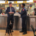 Chicago Fire