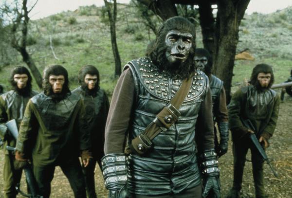 Bild 1 von 5: Gorilla-General Aldo (Claude Akins) und seine Schimpansenkrieger machen mal wieder Ärger ...