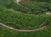 Mit dem Zug durch Neuseeland - Der Norden: Das vulkanische Herz