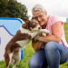 hundkatzemaus - Das Haustiermagazin