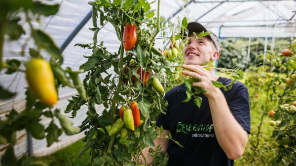 Bild 1 von 3: Matthias Kuhn: Biobauer aus Leidenschaft.