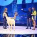 Bild 22
