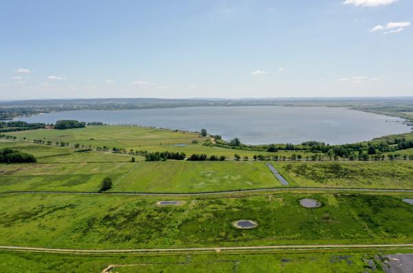 Bild 1 von 5: An den Ufern des Dümmer Sees in Niedersachsen haben Biologen ein in Deutschland einmaliges Vogelschutzgebiet für Wiesenvögel eingerichtet. Hier findet man Uferschnepfen, Kiebitze und viele andere Arten.