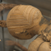 Ägyptens Mumien