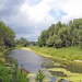 Geschützte Wildnis - Leben im Nationalpark Donau-Auen