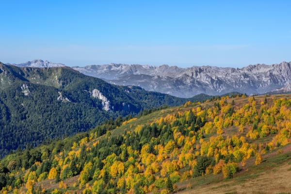 Bild 1 von 5: Montenegro - Land der schwarzen Berge und dunkler Wälder. In seiner zerklüfteten Gebirgslandschaft finden sich fünf Canyons und die tiefste Schlucht Europas.