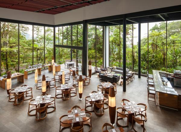 Bild 1 von 4: Die Mashpi Lodge in Ecuador liegt inmitten eines Waldreservats mit großer Artenvielfalt.