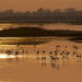 Der ewige Kampf - Fluss und Meer im Po-Delta