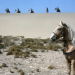 Durchs wilde Kurdistan