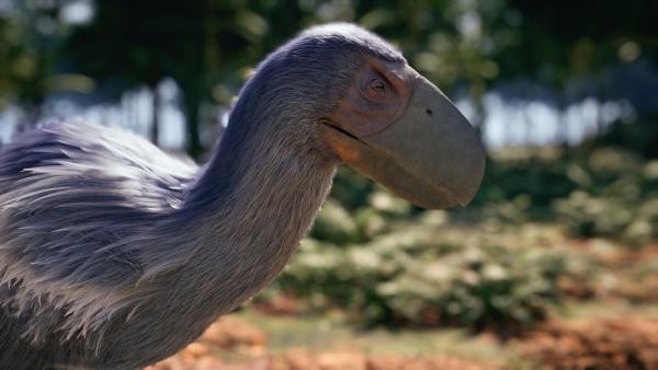 Bild 1 von 4: Nach dem Aussterben der meisten Dinosaurierarten entwickelten die Vorläufer moderner Vögel schnell eine große Artenvielfalt. Viele starben jedoch wieder aus, wie der flugunfähige Gastornis, ein Verwandter heutiger Gänse.