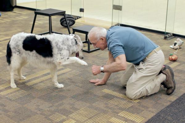 Bild 1 von 4: John Pilley und seine Hündin Chaser haben mit ihren Erkenntnissen über die Intelligenz von Hunden die Wissenschaft revolutioniert.