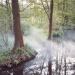 Spreewald - Labyrinth des Wassermanns