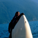 Free Willy 3 - Die Rettung