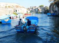 Enthüllt: Geheimnisse der Meere