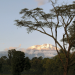 Die Tierärzte vom Kilimanjaro