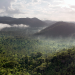 Guyana - Der Weg des Jaguars