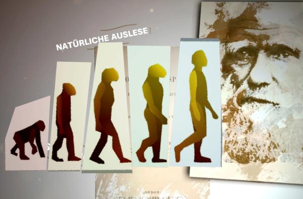 Bild 1 von 3: Charles Darwin ging in seiner Evolutionstheorie davon aus, dass sich der Mensch über viele Generationen an seine Umwelt anpasst.